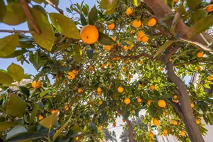 3653 55 37th St, San Diego, CA 92105 - Photo 23