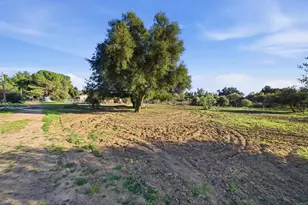 2219 Buckman Spgs Rd, Campo, CA 91906 - Photo 47