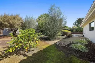 3625 Filly Ln, Bonita, CA 91902 - Photo 37