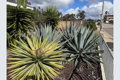 4606 Ocean View Boulevard, San Diego, CA 92113 - Photo 7