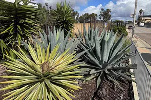 4606 Ocean View Blvd, San Diego, CA 92113 - Photo 7