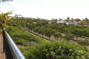 1056 Strawberry Valley, Chula Vista, CA 91913 - Photo 67