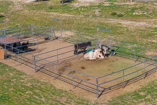 44075 Timber TR, Hemet, CA 92544 - Photo 73