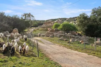 20845 Deerhorn Valley Rd, Jamul, CA 91935 - Photo 3