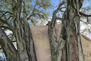 2494 Donnil Ln, Fallbrook, CA 92028 - Photo 37