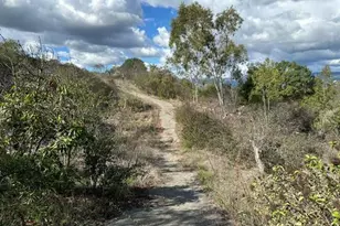 2494 Donnil Ln, Fallbrook, CA 92028 - Photo 39