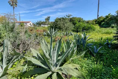 4335 Osprey, San Diego, CA 92107 - Photo 23