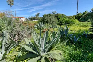 4335 Osprey, San Diego, CA 92107 - Photo 23