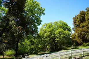 7192 Sandy Creek Rd, Julian, CA 92036 - Photo 39