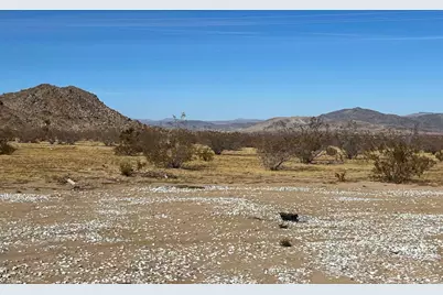 2774 Kickapoo Trail, Landers, CA 92285 - Photo 47