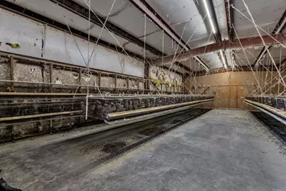 35683 Breezy Lane, Ranchita, CA 92066 - Photo 37