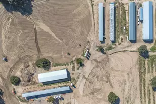 35683 Breezy Ln, Ranchita, CA 92066 - Photo 9