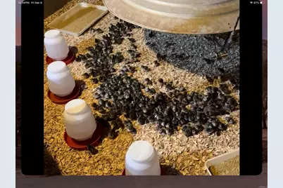 35683 Breezy Lane, Ranchita, CA 92066 - Photo 71