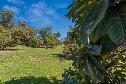 11460 Pinehurst Dr, Lakeside, CA 92040 - Photo 59