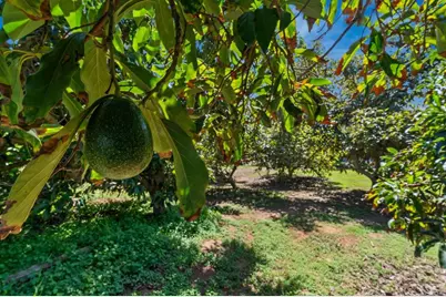 11460 Pinehurst Dr, Lakeside, CA 92040 - Photo 47