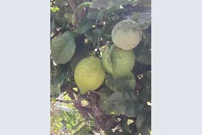 1425 2nd Avenue #116, Chula Vista, CA 91911 - Photo 5