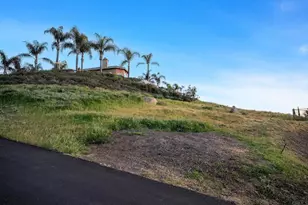 1989 Brady Jane, Alpine, CA 91901 - Photo 65