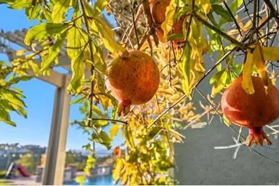 13303 Greenstone Court, San Diego, CA 92131 - Photo 49