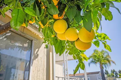 1537 H Street #Spc 54, Ramona, CA 92065 - Photo 17