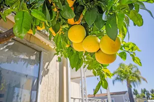 1537 H Street #Spc 54, Ramona, CA 92065 - Photo 17