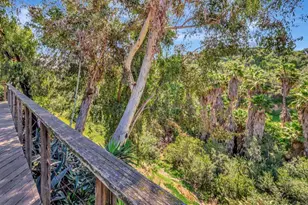 5545 Baja Dr, San Diego, CA 92115 - Photo 35