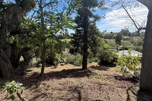 1905 El Dora St, Lemon Grove, CA 91945 - Photo 33