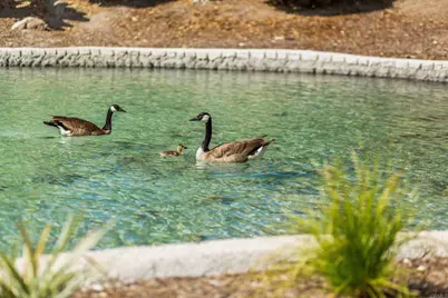 5700 Baltimore Dr #191, La Mesa, CA 91942 - Photo 35