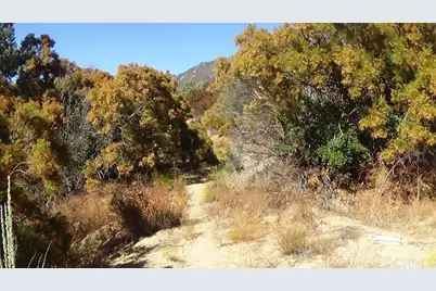 37245 Old Forest Road, Anza, CA 92539 - Photo 27