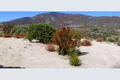 37245 Old Forest Road, Anza, CA 92539 - Photo 21