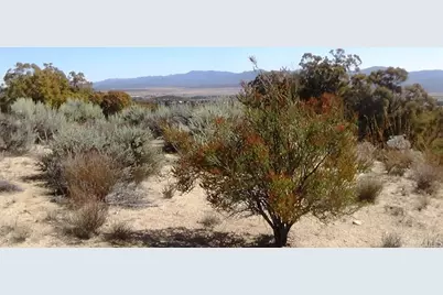 37245 Old Forest Road, Anza, CA 92539 - Photo 23