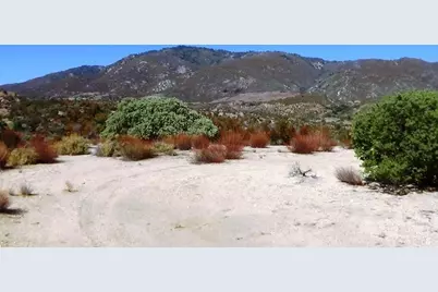 37245 Old Forest Road, Anza, CA 92539 - Photo 1