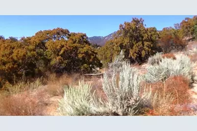 37245 Old Forest Road, Anza, CA 92539 - Photo 33