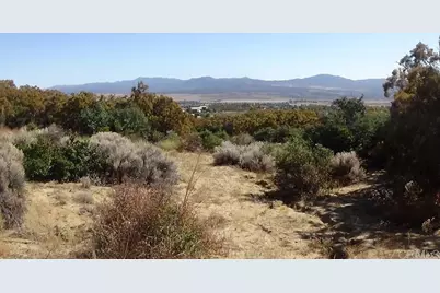 37245 Old Forest Road, Anza, CA 92539 - Photo 37