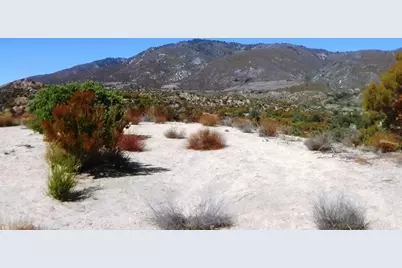 37245 Old Forest Road, Anza, CA 92539 - Photo 3