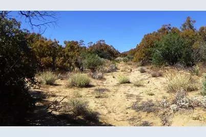 37245 Old Forest Road, Anza, CA 92539 - Photo 13