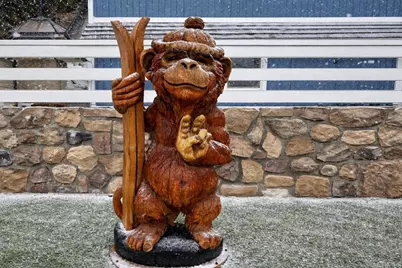 42988 Moonridge Road, Big Bear Lake, CA 92315 - Photo 15