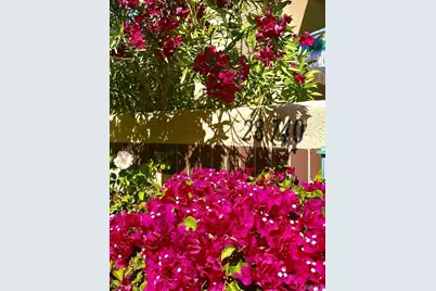 28740 Desert Princess Drive, Cathedral City, CA 92234 - Photo 39