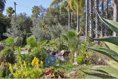 1761 Winterwarm Drive, Fallbrook, CA 92028 - Photo 35