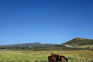 1524 Potrero Cir, Potrero, CA 91963 - Photo 41