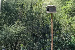 3333 Suncrest Blvd, El Cajon, CA 92021 - Photo 35