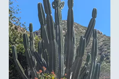 3333 Suncrest Boulevard, El Cajon, CA 92021 - Photo 37