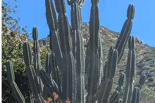 3333 Suncrest Blvd, El Cajon, CA 92021 - Photo 37