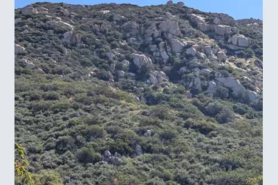 3333 Suncrest Boulevard, El Cajon, CA 92021 - Photo 7