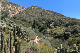 3333 Suncrest Blvd, El Cajon, CA 92021 - Photo 5