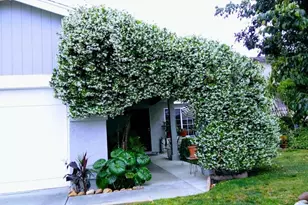 4777 Crooked Creek Ct, San Diego, CA 92113 - Photo 1