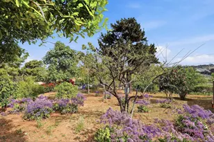 3861 Grandview Pl, Bonita, CA 91902 - Photo 55