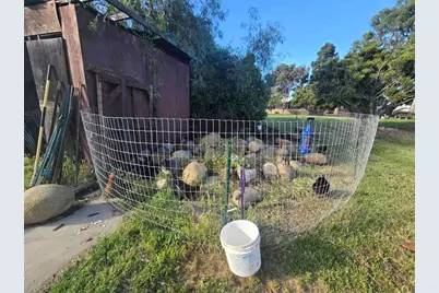 2205 Leon Avenue, San Diego, CA 92154 - Photo 59