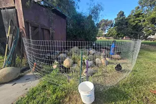 2205 Leon Ave, San Diego, CA 92154 - Photo 59