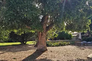 2205 Leon Ave, San Diego, CA 92154 - Photo 63