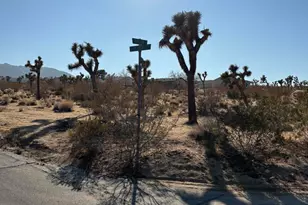 0 Division St, Joshua Tree, CA 92252 - Photo 1